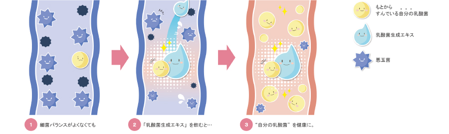 にべあさま専用 ちつう30本-